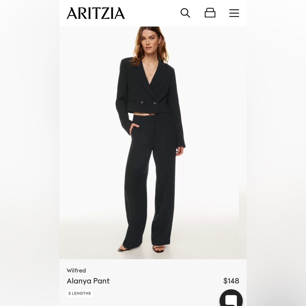 Alanya pant from Aritzia